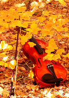 Autumn Violin